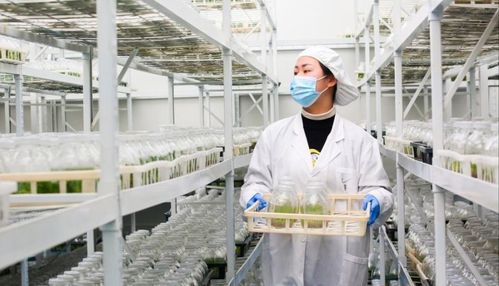 科技賦能溫泉助農 設施創新撬動增收新途徑