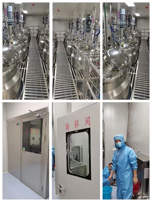 舜甫科技 蛋白質提取工藝與溫泉設備技術創新的融合發展